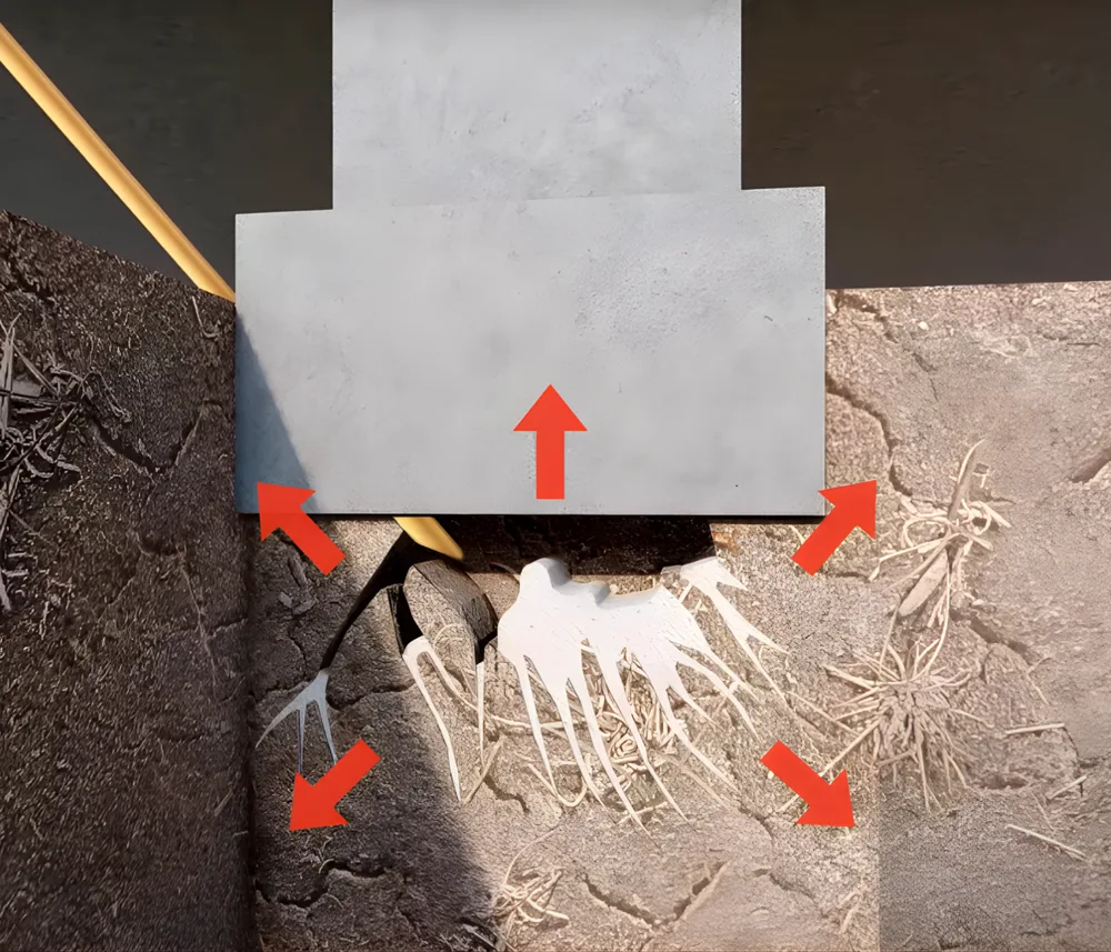 Stump lifting — GeoPoly™ resin raising and stabilising sub-floor stumps under a timber floor