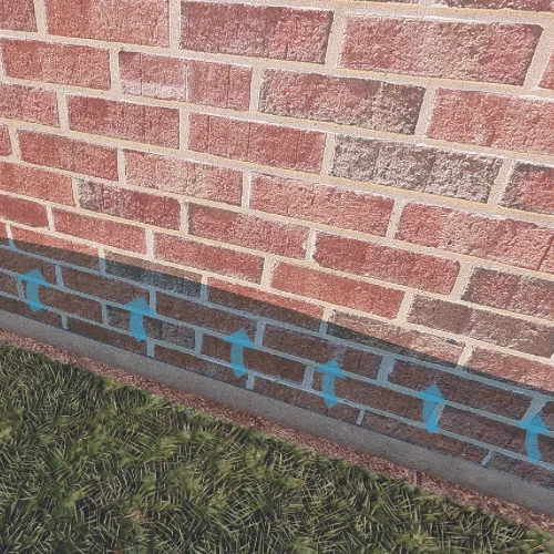 Interior wall showing damp staining and peeling paint at the base